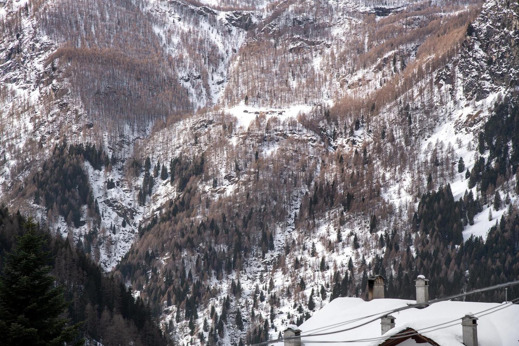 Residence Larice Bianco App N4 Campodolcino Exteriör bild